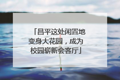 昌平这处闲置地变身大花园，成为校园崭新会客厅