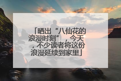 晒出“八仙花的浪漫时刻”，今天，不少读者将这份浪漫延续到家里