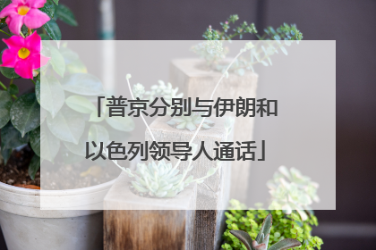普京分别与伊朗和以色列领导人通话
