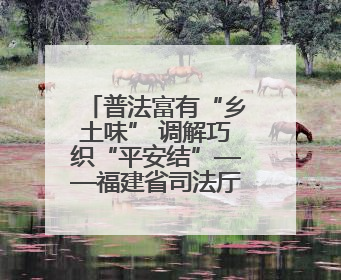 普法富有“乡土味” 调解巧织“平安结”——福建省司法厅推进法治乡村建设出成效