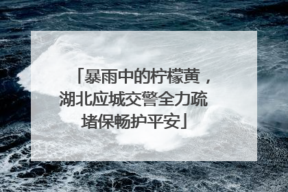 暴雨中的柠檬黄，湖北应城交警全力疏堵保畅护平安