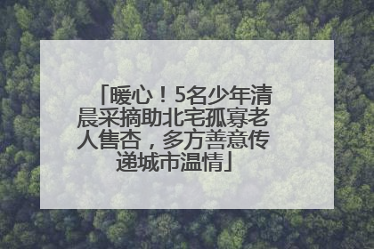 暖心！5名少年清晨采摘助北宅孤寡老人售杏，多方善意传递城市温情