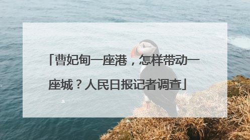 曹妃甸一座港，怎样带动一座城？人民日报记者调查