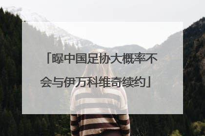 曝中国足协大概率不会与伊万科维奇续约