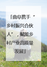 曲阜携手“乡村振兴合伙人”，赋能乡村产业高质量发展