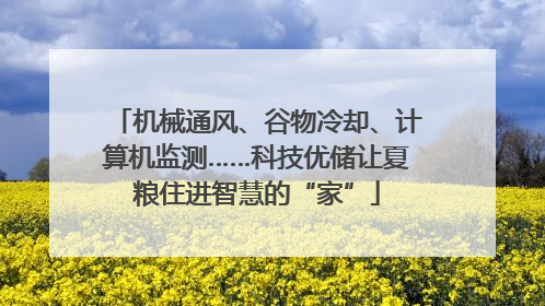 机械通风、谷物冷却、计算机监测……科技优储让夏粮住进智慧的“家”