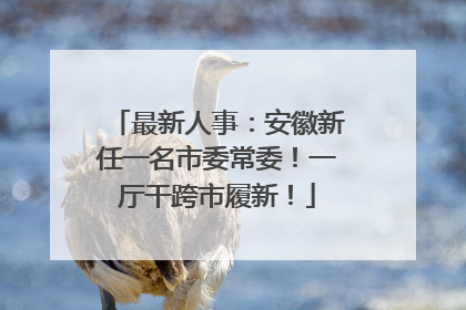 最新人事：安徽新任一名市委常委！一厅干跨市履新！
