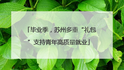 毕业季，苏州多重“礼包”支持青年高质量就业