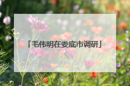 毛伟明在娄底市调研
