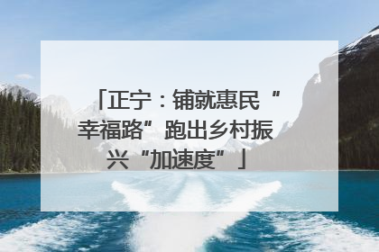 正宁：铺就惠民“幸福路”跑出乡村振兴“加速度”