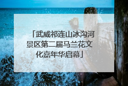 武威祁连山冰沟河景区第二届马兰花文化嘉年华启幕