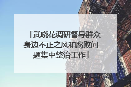 武晓花调研督导群众身边不正之风和腐败问题集中整治工作