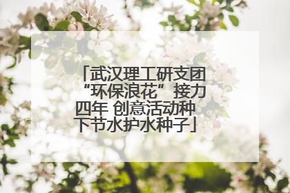 武汉理工研支团“环保浪花”接力四年 创意活动种下节水护水种子