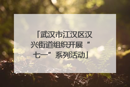 武汉市江汉区汉兴街道组织开展“七一”系列活动