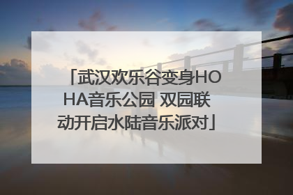 武汉欢乐谷变身HOHA音乐公园 双园联动开启水陆音乐派对
