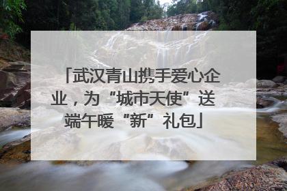 武汉青山携手爱心企业，为“城市天使”送端午暖“新”礼包