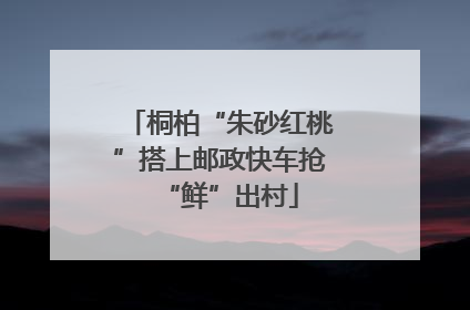 桐柏“朱砂红桃”搭上邮政快车抢“鲜”出村