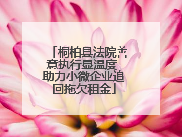 桐柏县法院善意执行显温度 助力小微企业追回拖欠租金