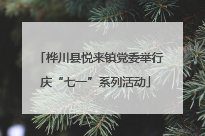 桦川县悦来镇党委举行庆“七一”系列活动