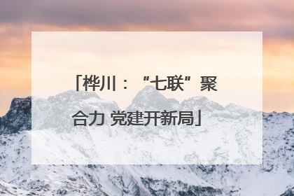 桦川：“七联”聚合力 党建开新局