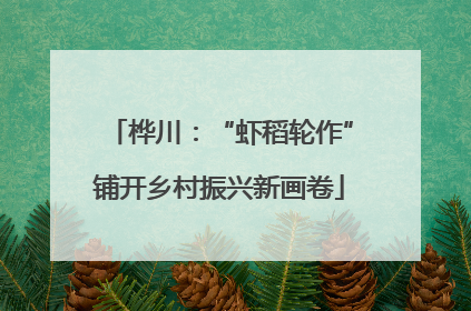 桦川：“虾稻轮作”铺开乡村振兴新画卷