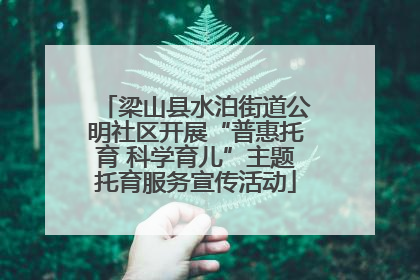 梁山县水泊街道公明社区开展“普惠托育 科学育儿”主题托育服务宣传活动