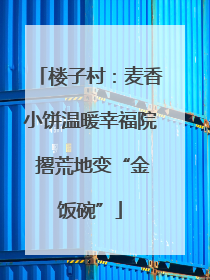 楼子村：麦香小饼温暖幸福院 撂荒地变“金饭碗”