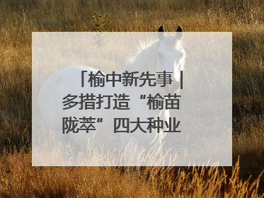 榆中新先事｜多措打造“榆苗陇萃”四大种业育苗品牌