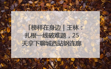榜样在身边｜王林：扎根一线破难题，25天拿下聊城西站钢连廊“硬核”工程
