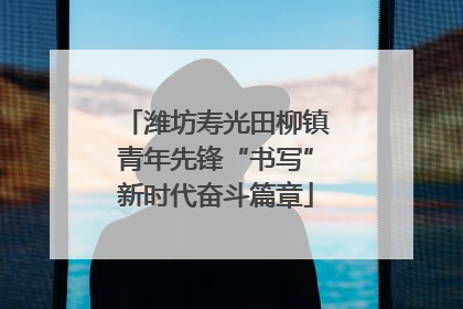 潍坊寿光田柳镇青年先锋“书写”新时代奋斗篇章