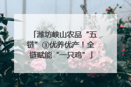 潍坊峡山农品“五链”③优养优产！全链赋能“一只鸡”