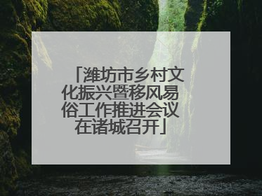 潍坊市乡村文化振兴暨移风易俗工作推进会议在诸城召开