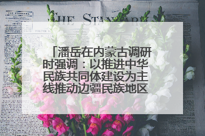 潘岳在内蒙古调研时强调：以推进中华民族共同体建设为主线推动边疆民族地区高质量发展