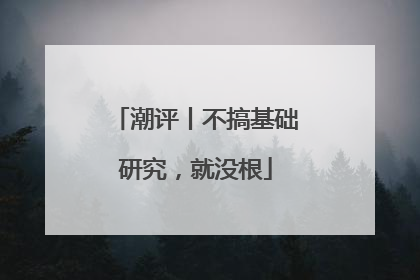 潮评丨不搞基础研究，就没根