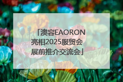 澳容EAORON亮相2025服贸会展前推介交流会