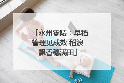 永州零陵：早稻管理见成效 稻浪飘香穗满田