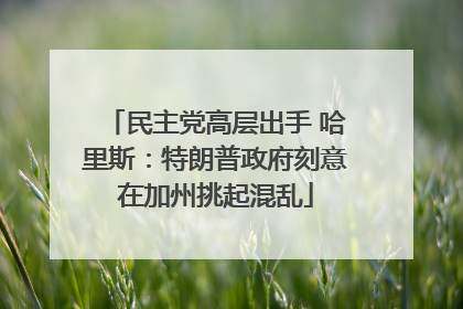 民主党高层出手 哈里斯：特朗普政府刻意在加州挑起混乱