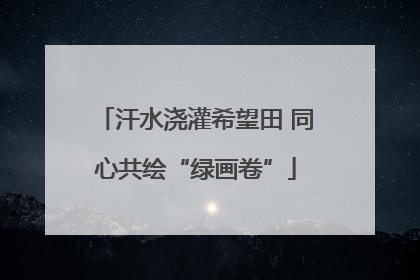 汗水浇灌希望田 同心共绘“绿画卷”