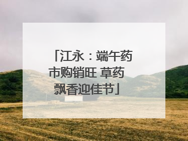 江永：端午药市购销旺 草药飘香迎佳节