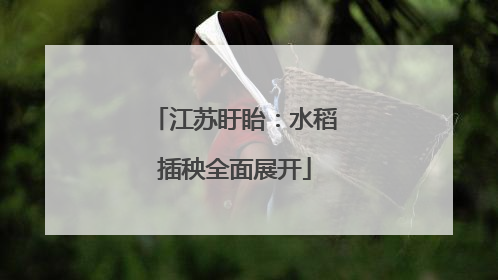 江苏盱眙：水稻插秧全面展开