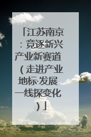 江苏南京：竞逐新兴产业新赛道（走进产业地标·发展一线探变化）