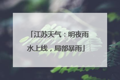江苏天气：明夜雨水上线，局部暴雨