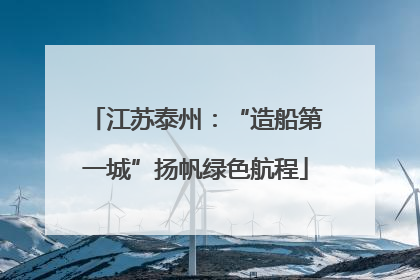 江苏泰州：“造船第一城”扬帆绿色航程