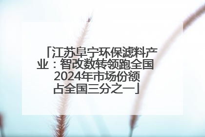 江苏阜宁环保滤料产业：智改数转领跑全国 2024年市场份额占全国三分之一