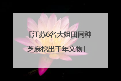 江苏6名大姐田间种芝麻挖出千年文物