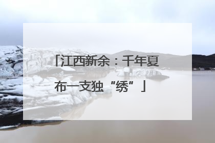 江西新余：千年夏布一支独“绣”