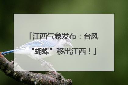 江西气象发布：台风“蝴蝶”移出江西！