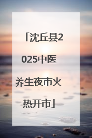 沈丘县2025中医养生夜市火热开市