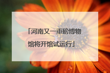 河南又一重磅博物馆将开馆试运行