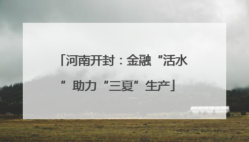 河南开封：金融“活水”助力“三夏”生产